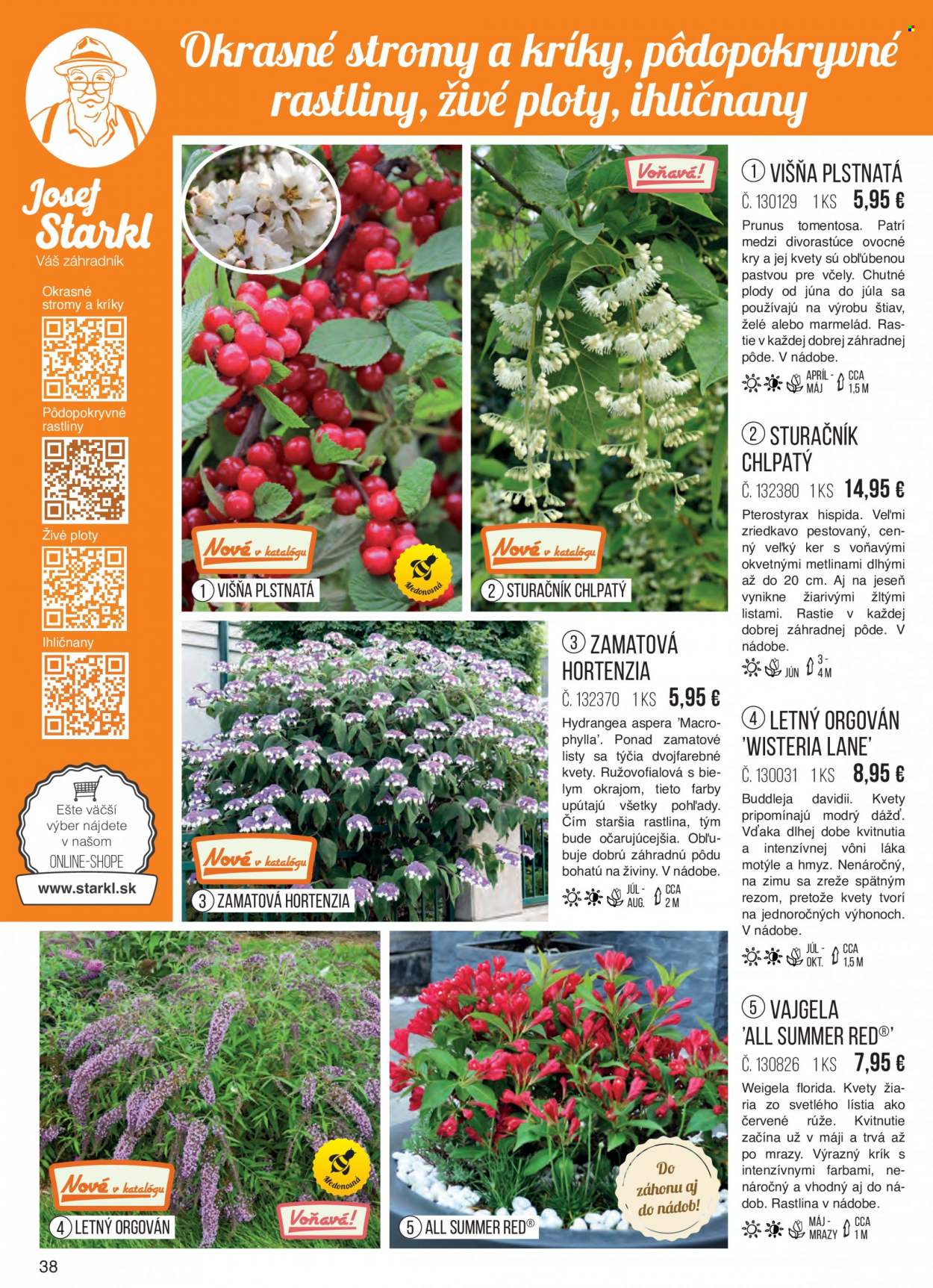 Leták Starkl - Produkty v akcii - ovocné kry, vonkajšie rastliny, hortenzia, ruža. Strana 38.