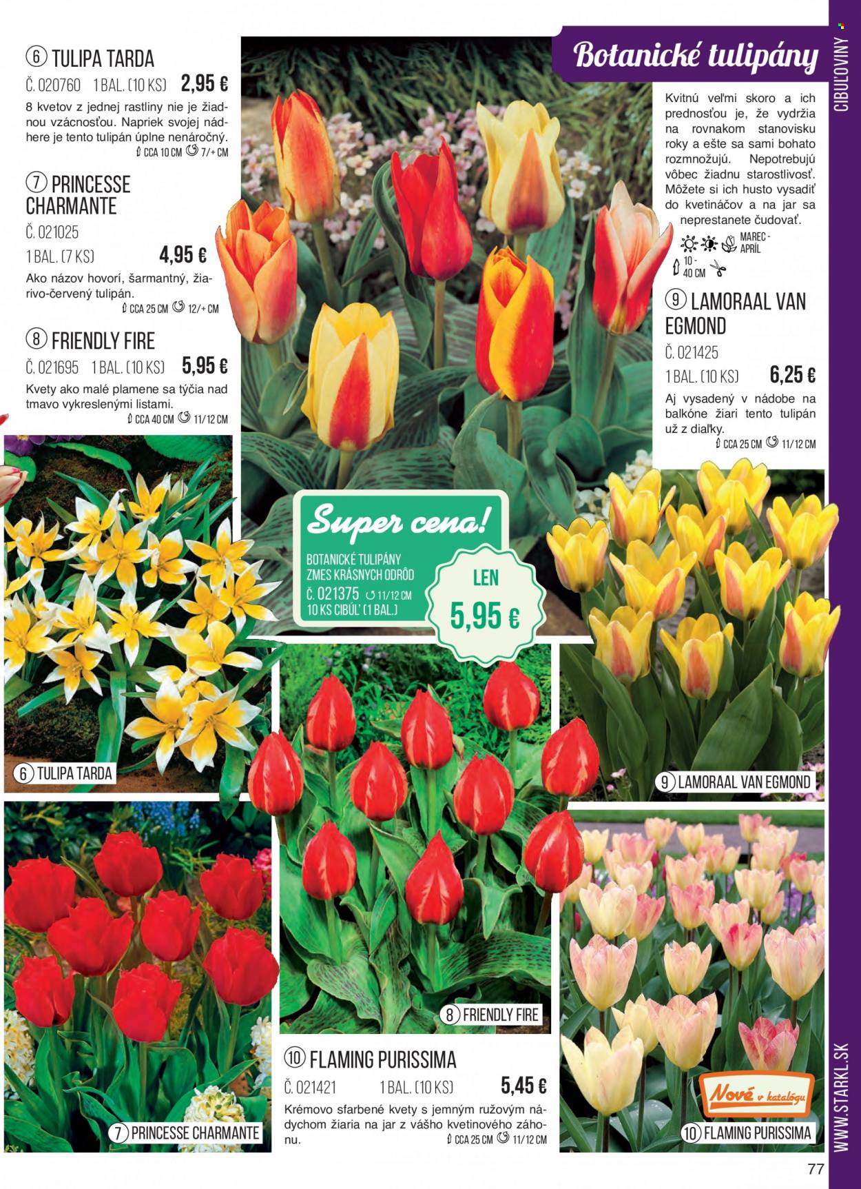 Leták Starkl - Produkty v akcii - tulipány, cibuľoviny. Strana 77.