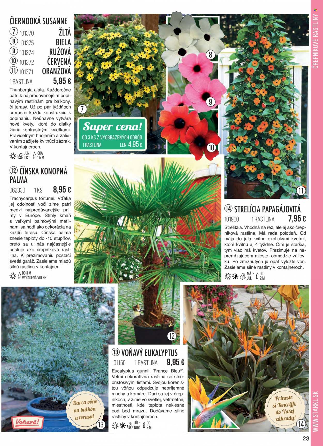 thumbnail - Leták Starkl - Produkty v akcii - izbové rastliny, vonkajšie rastliny, strelícia, eukalyptus. Strana 23.