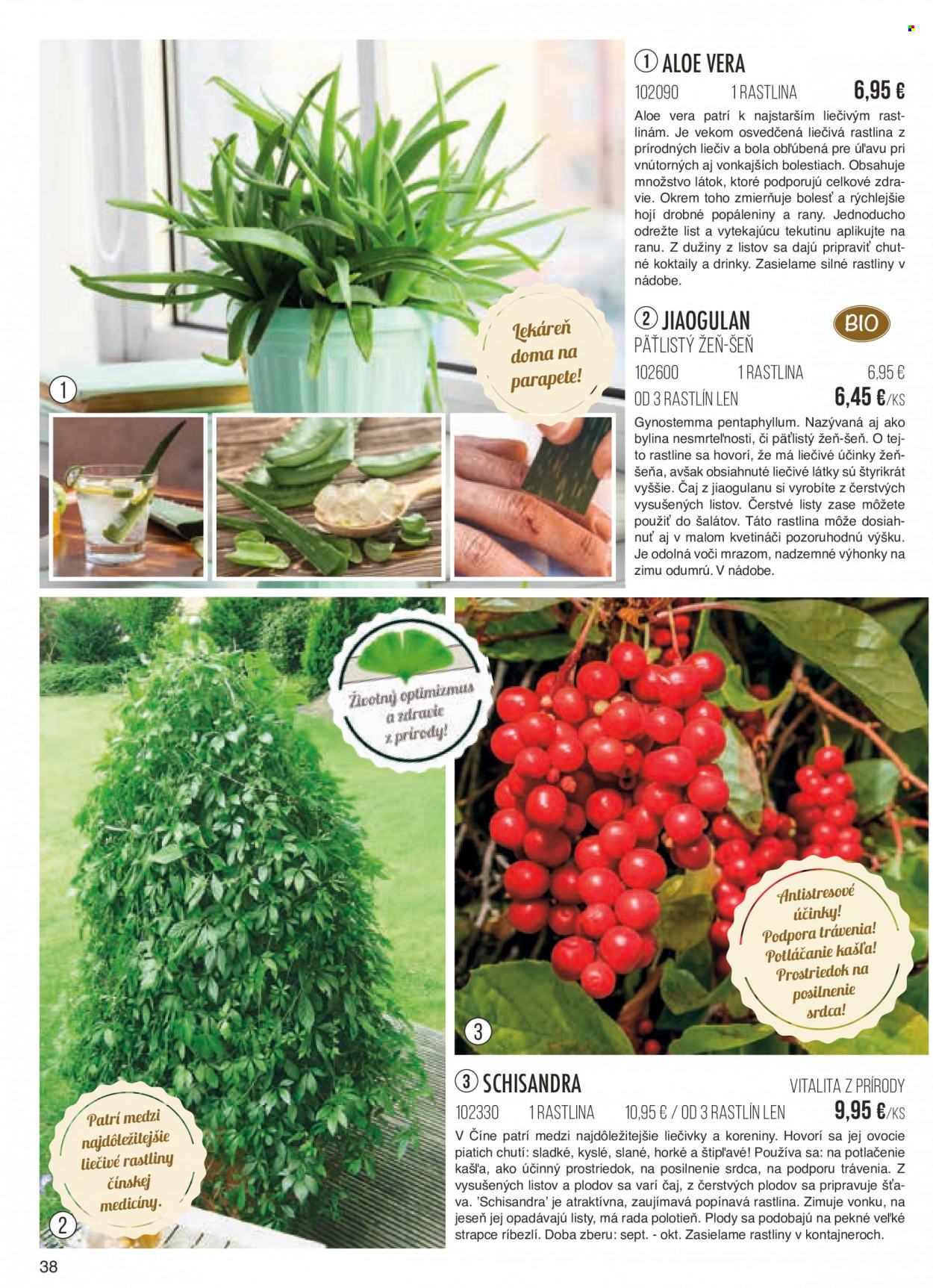 thumbnail - Leták Starkl - Produkty v akcii - aloe vera, izbové rastliny. Strana 38.