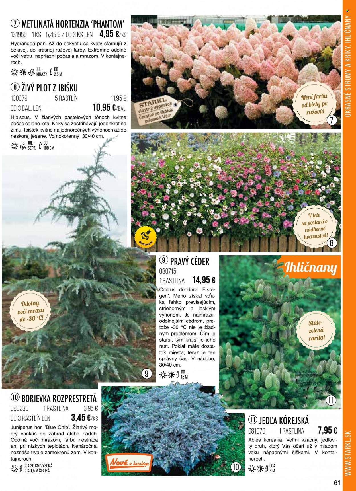 thumbnail - Leták Starkl - Produkty v akcii - vonkajšie rastliny, hortenzia. Strana 61.