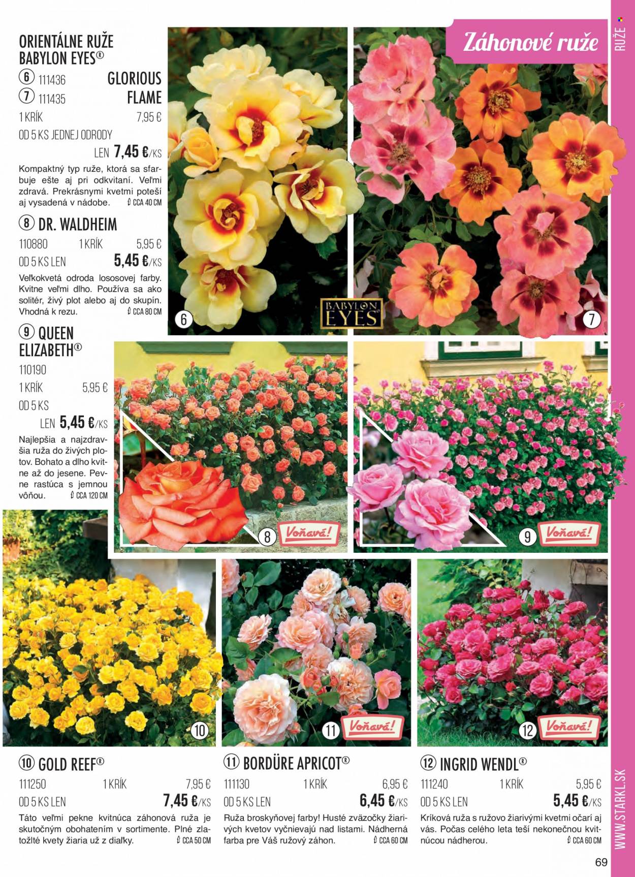 thumbnail - Leták Starkl - Produkty v akcii - ruža, kvetinová dekorácia. Strana 69.