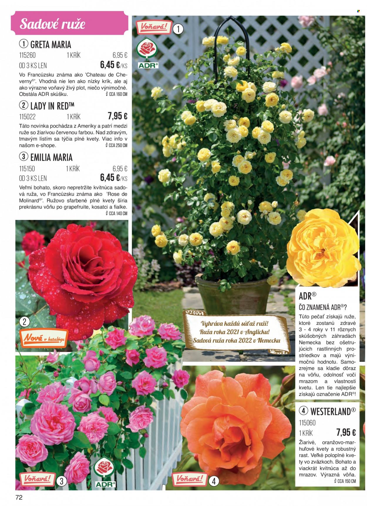thumbnail - Leták Starkl - Produkty v akcii - ruža, kvetinová dekorácia. Strana 72.