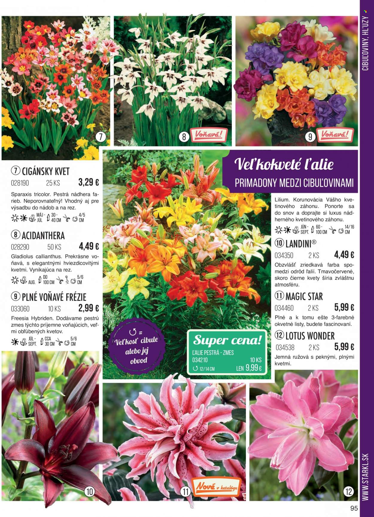 thumbnail - Leták Starkl - Produkty v akcii - jarné kvetiny, cibuľoviny, kvitnúce rastliny. Strana 95.