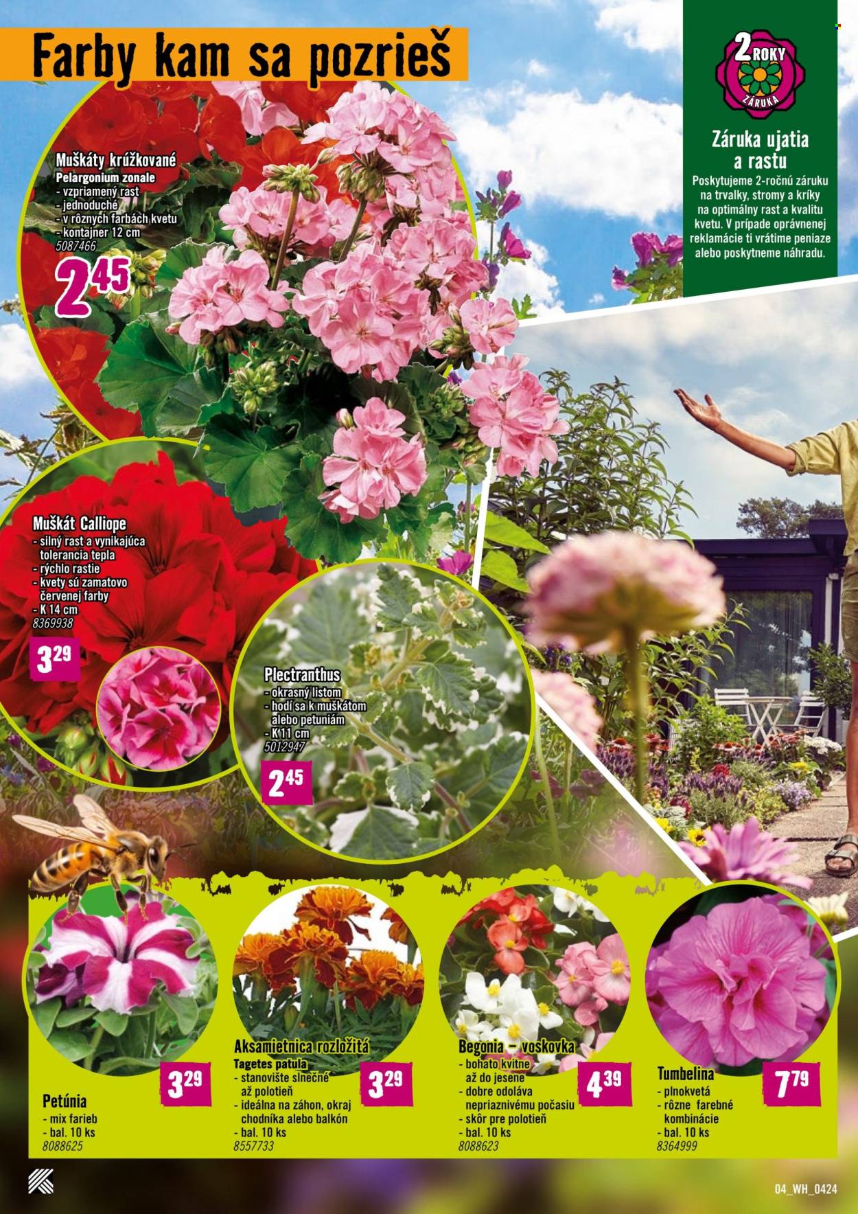 thumbnail - Leták Hornbach - 2.4.2024 - 30.4.2024 - Produkty v akcii - begónia, vonkajšie rastliny, petúnia, kvetináč. Strana 4.