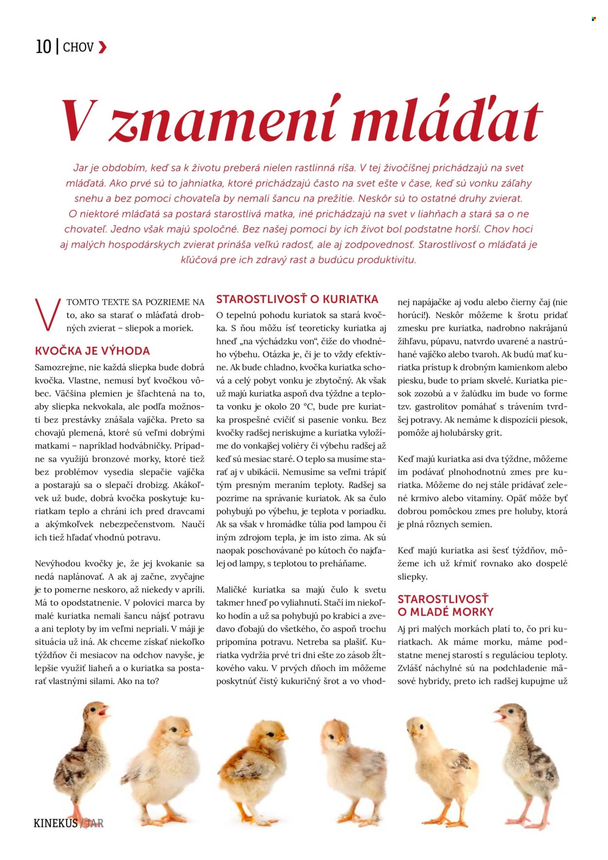 Leták Kinekus. Strana 1