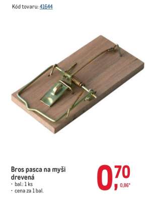 Bros pasca na myši drevená