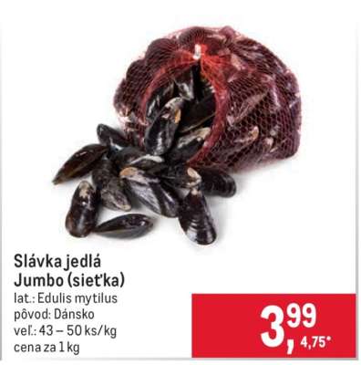 Slávka jedlá Jumbo (sieťka)