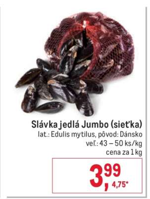 Slávka jedlá Jumbo (sieťka)