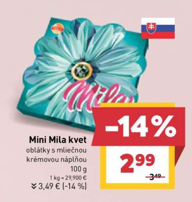 Mini Mila kvet