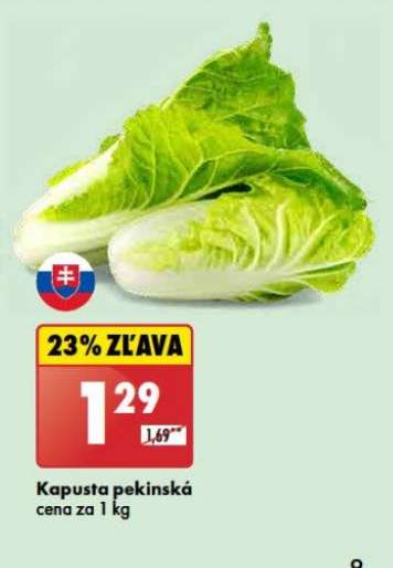 Kapusta pekinská
