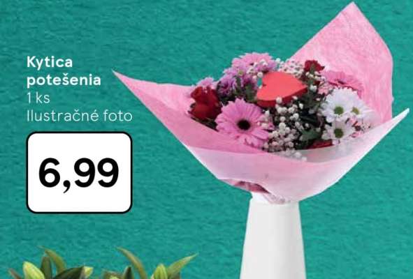 Kytica potešenia