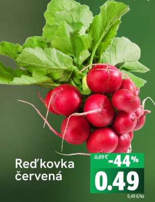 Red’kovka červená