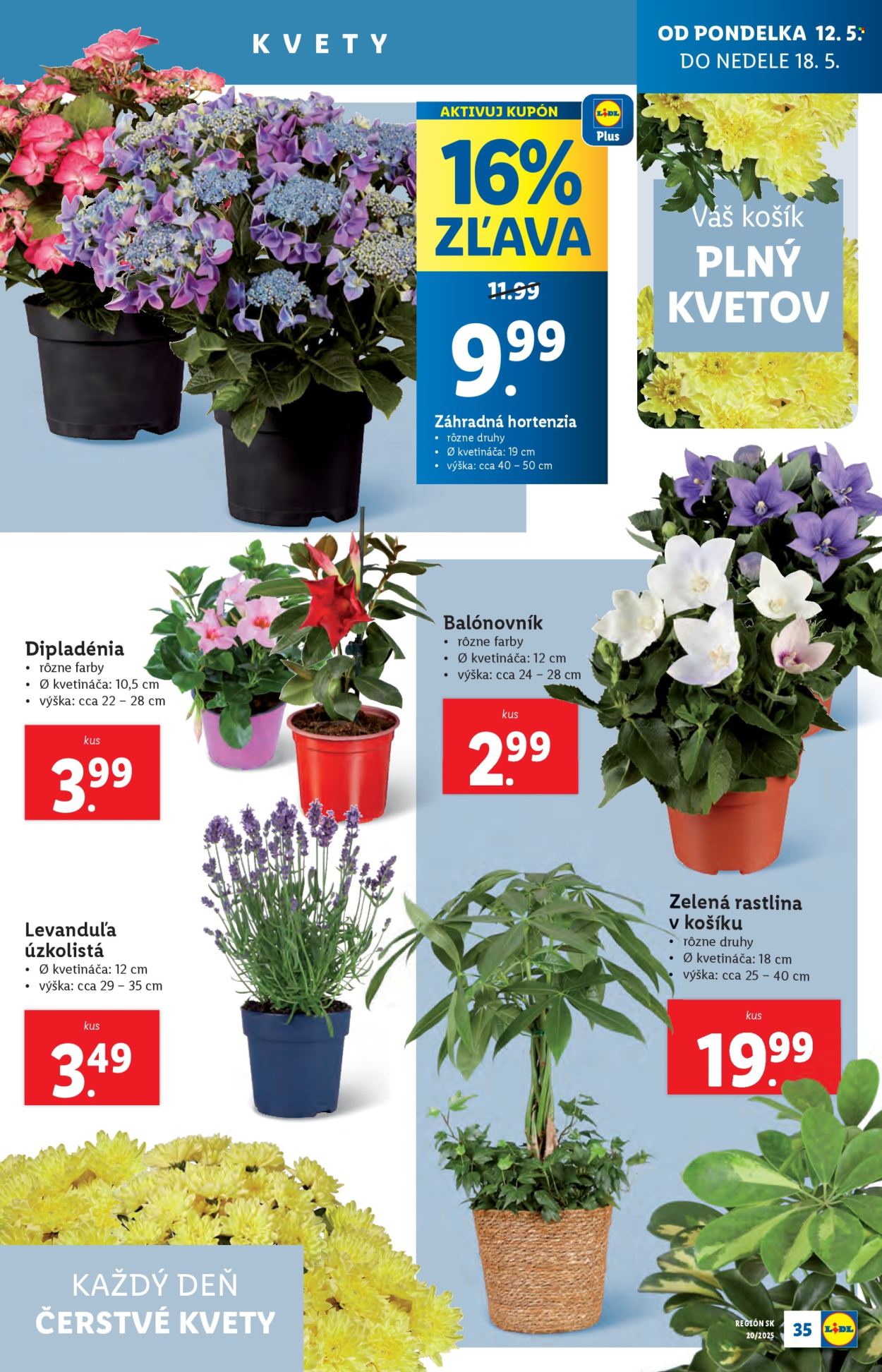 Leták Lidl - 12.5.2025 - 18.5.2025. Strana 1