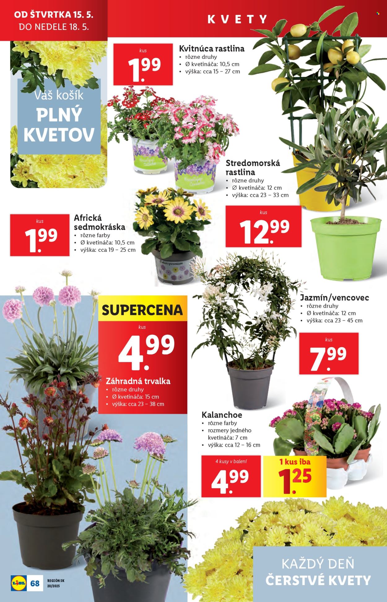 Leták Lidl - 12.5.2025 - 18.5.2025. Strana 1