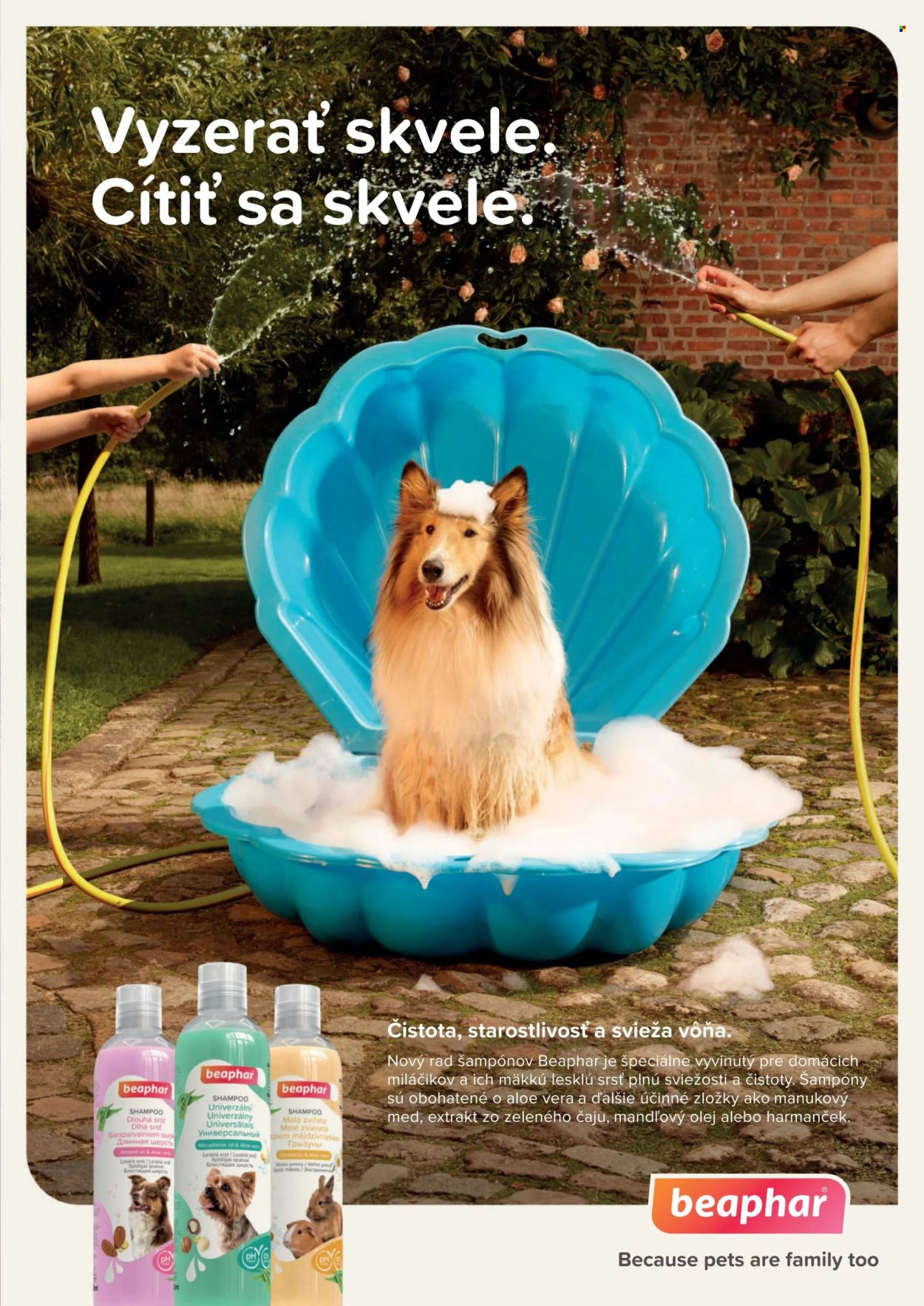 Leták SUPER ZOO. Strana 19
