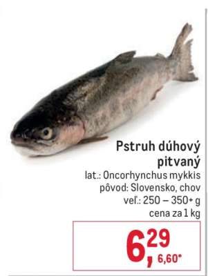Pstruh dúhový pitvaný