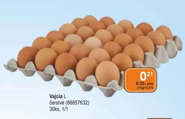 Vajcia L