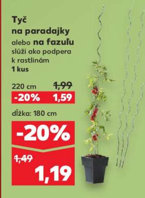 Tyč na paradajky alebo na fazuľu