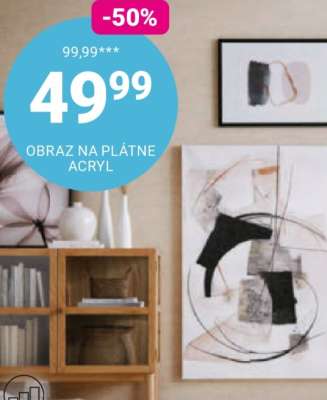 OBRAZ NA PLÁTNĚ ACRYL
