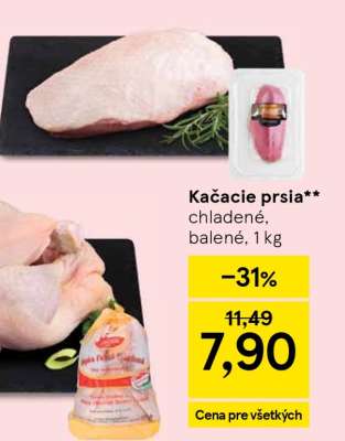 Kačacie prsia