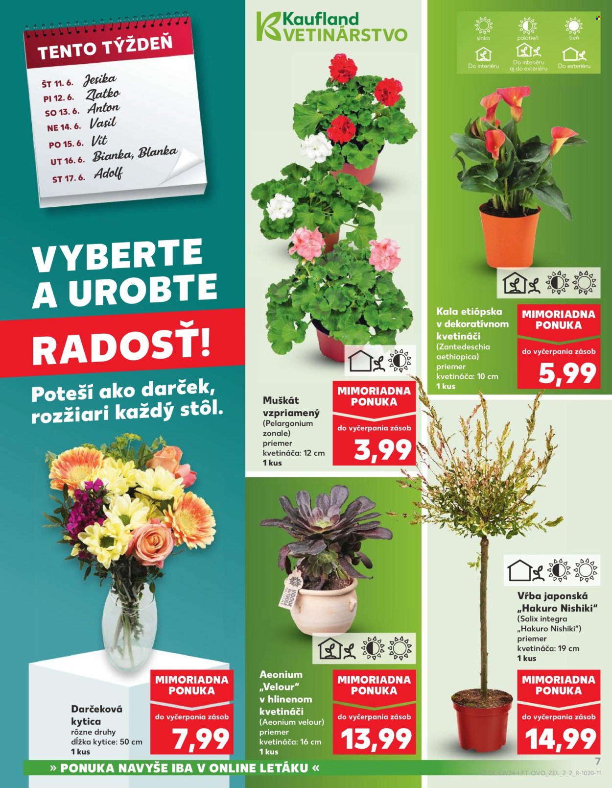 Leták Kaufland - 11.6.2026 - 17.6.2026. Strana 7