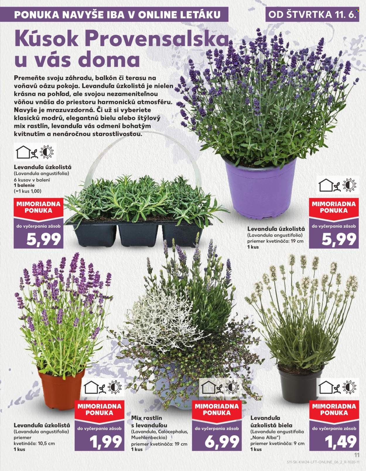 Leták Kaufland - 11.6.2026 - 17.6.2026. Strana 11