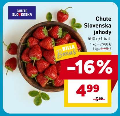 Chute Slovenska jahody