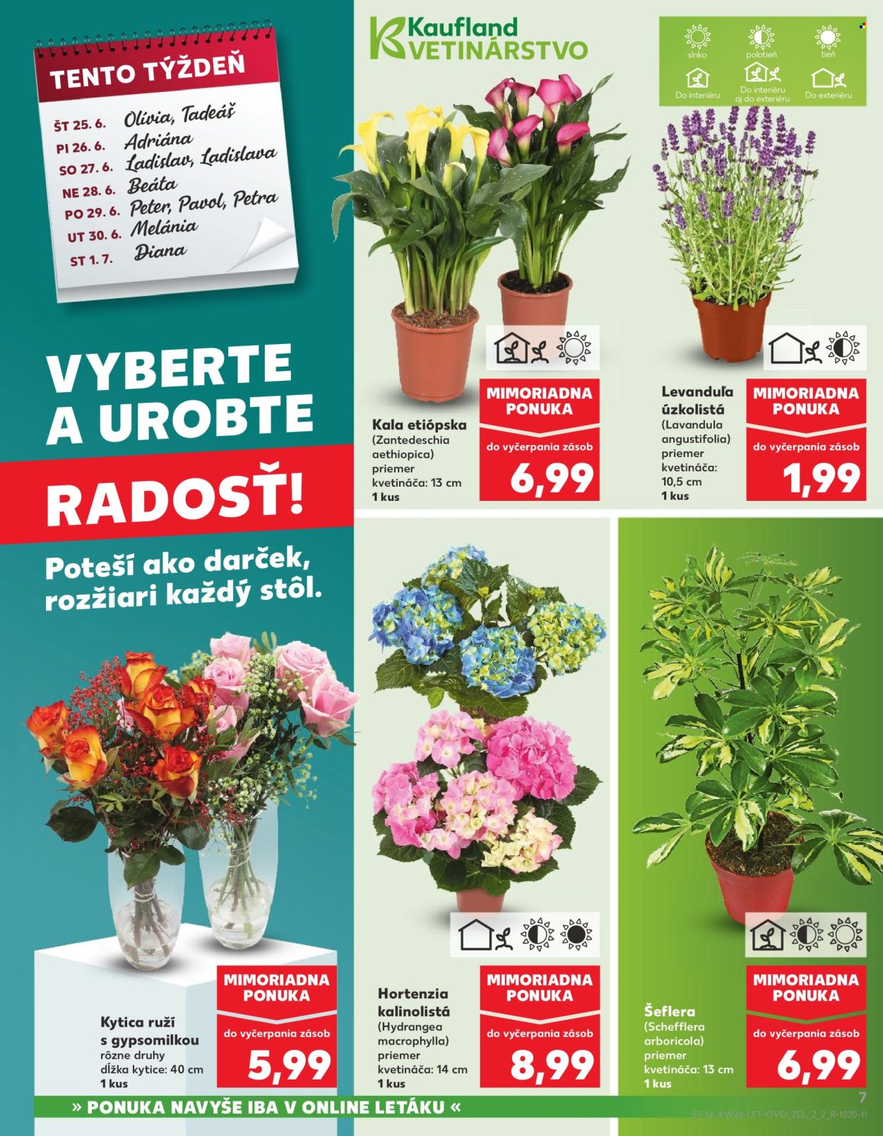 Leták Kaufland - 25.6.2026 - 1.7.2026. Strana 7