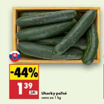 Uhorky poľné