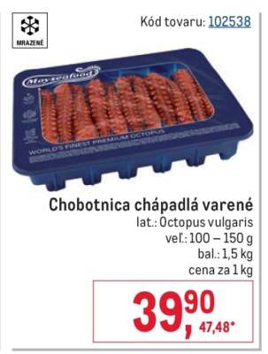 Chobotnica chápadlá varené