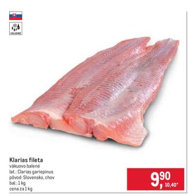Klarias fileta