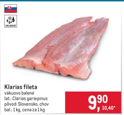 Klarias fileta
