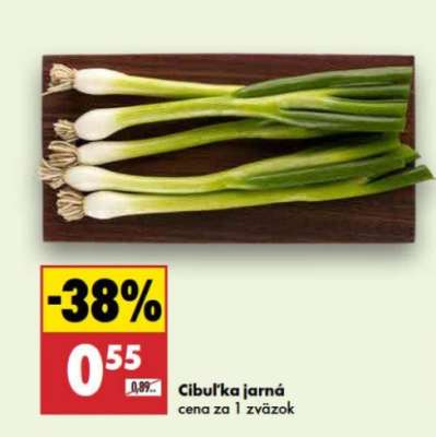 Cibuľka jarná