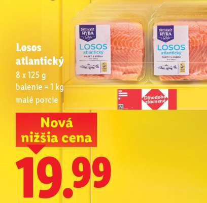 Losos atlantický