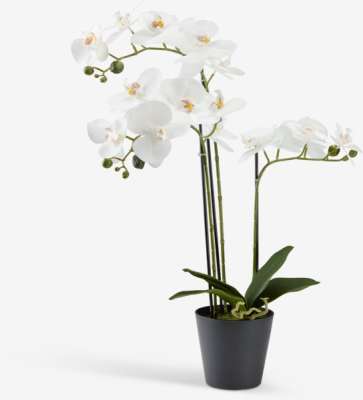 Umelá rastlina MATINUS V62 cm biela orchidea
