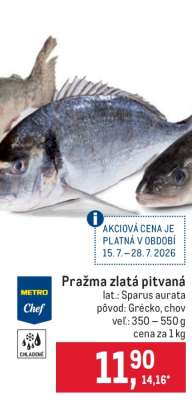 Pražma zlatá pitvaná