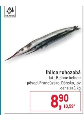 Ihlica rohozobá