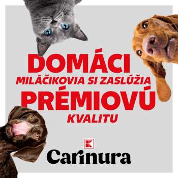 Leták Kaufland.