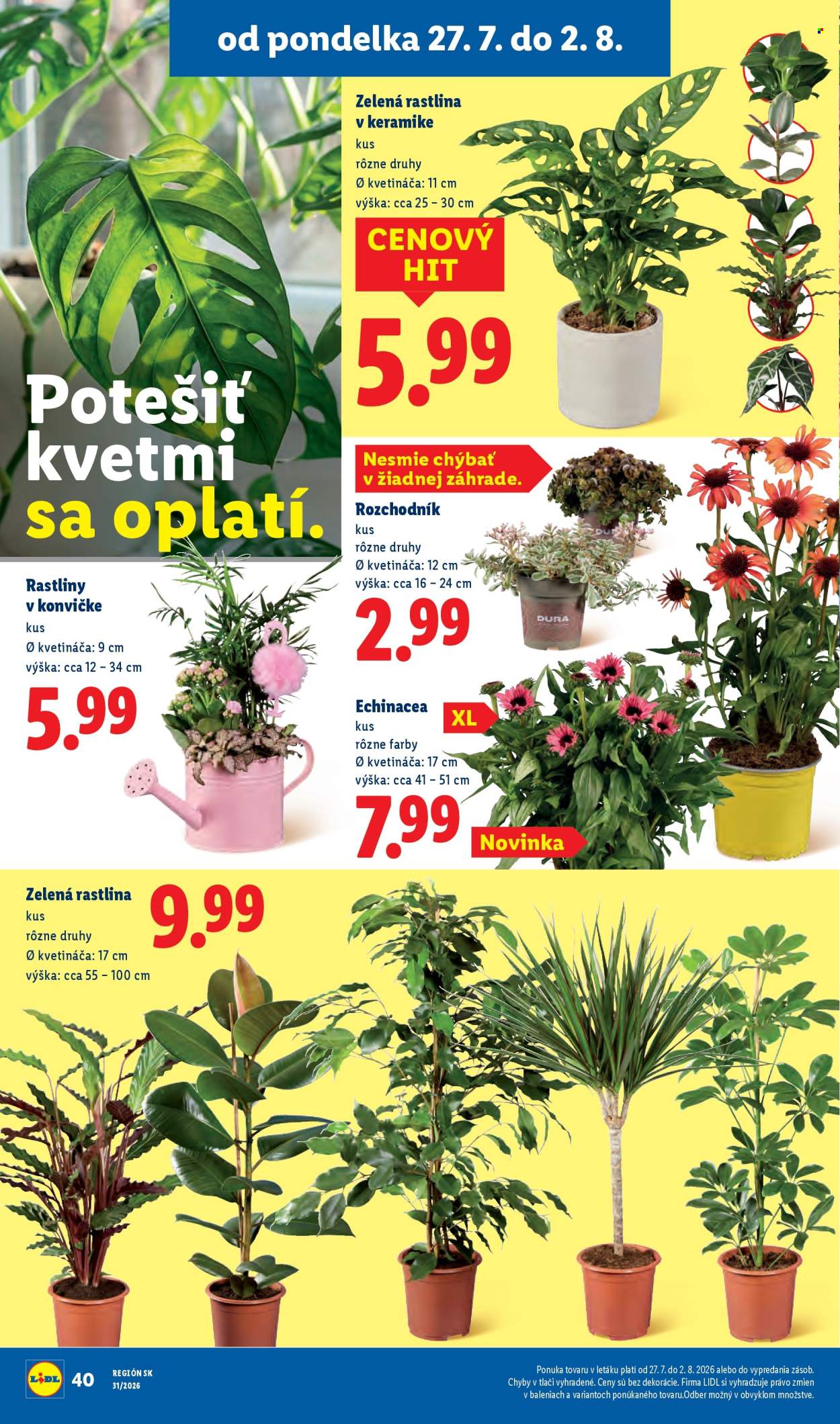 Leták Lidl - 27.7.2026 - 2.8.2026. Strana 47