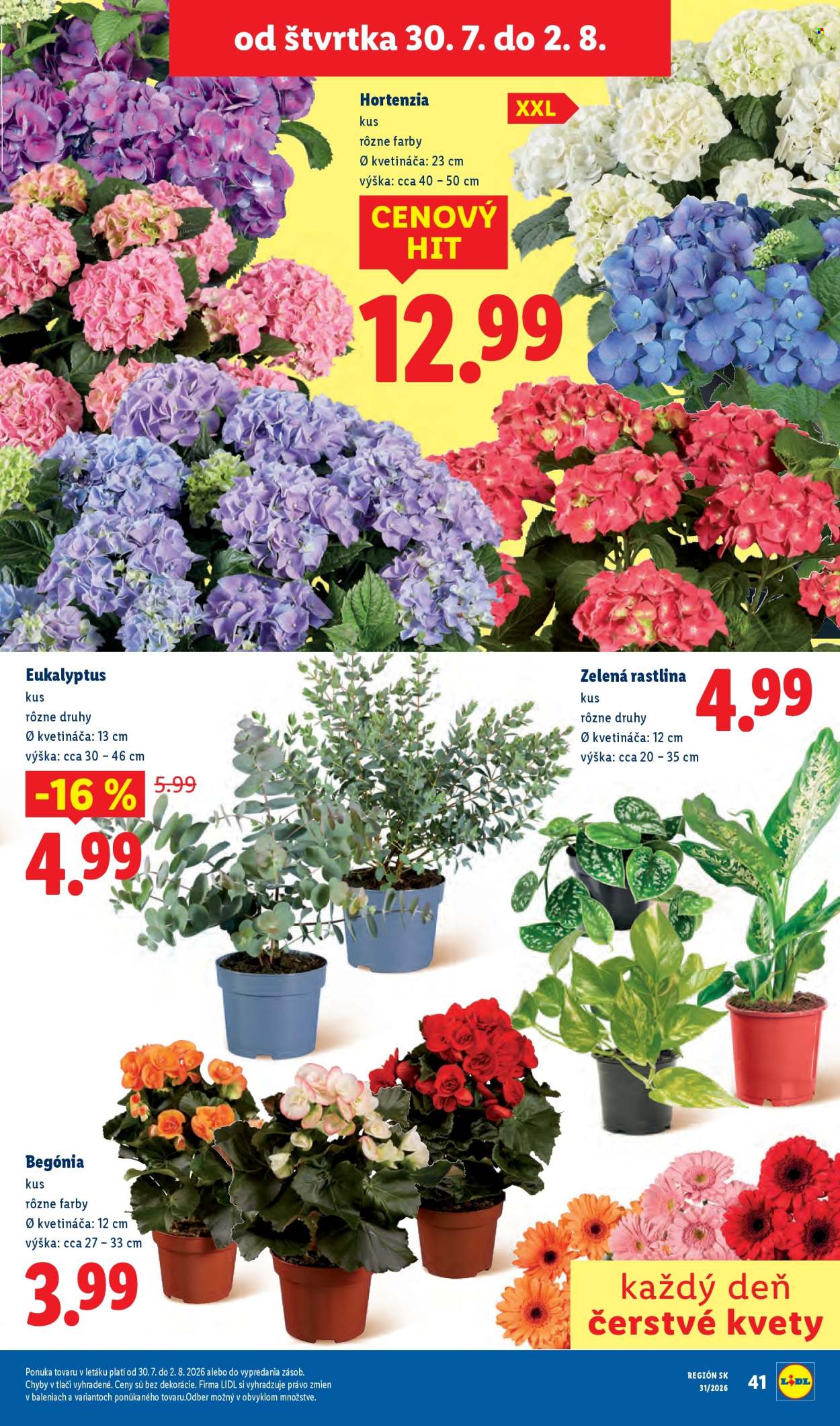 Leták Lidl - 27.7.2026 - 2.8.2026. Strana 87