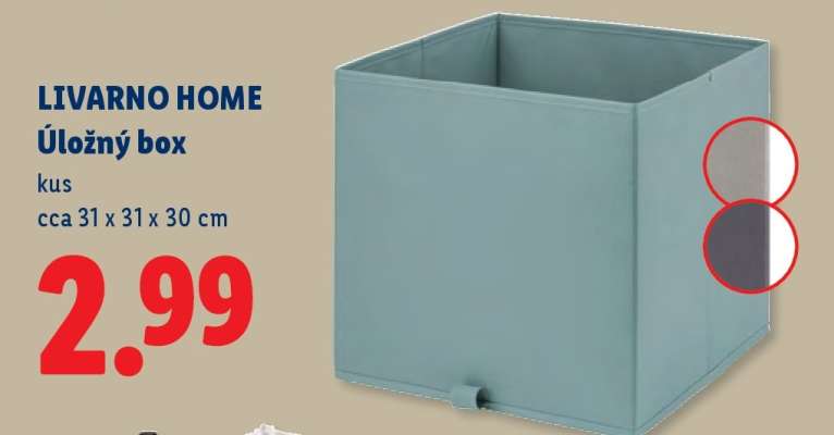 Livarno Home Úložný box