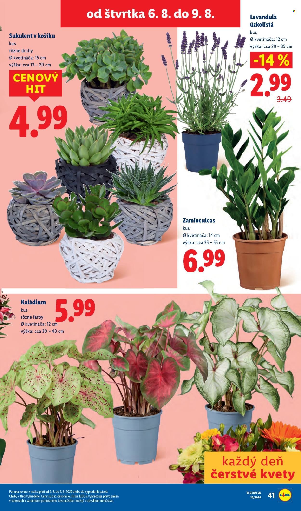 Leták Lidl - 3.8.2026 - 9.8.2026. Strana 93