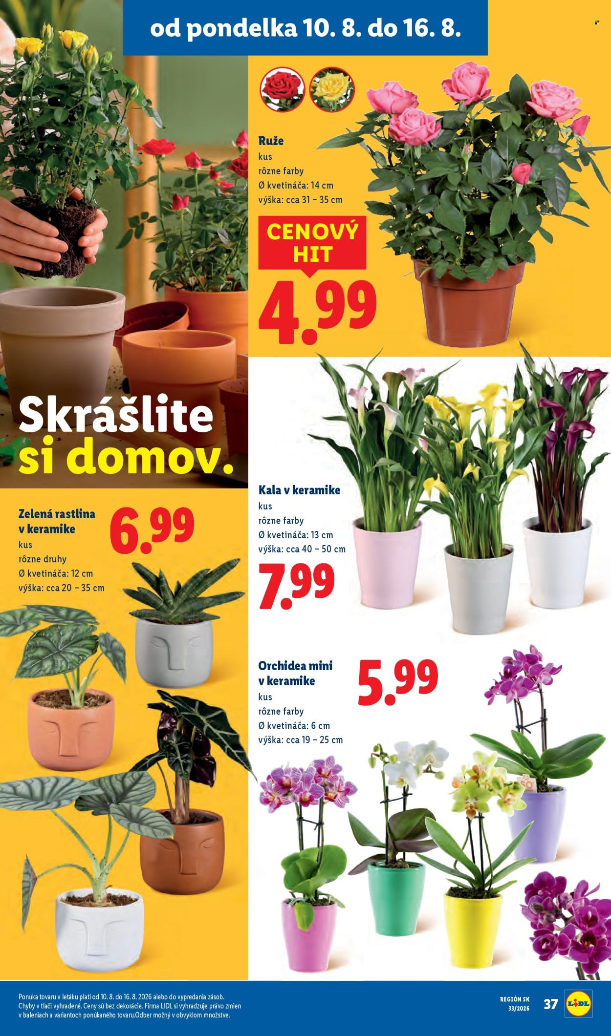 Leták Lidl - 10.8.2026 - 16.8.2026. Strana 61