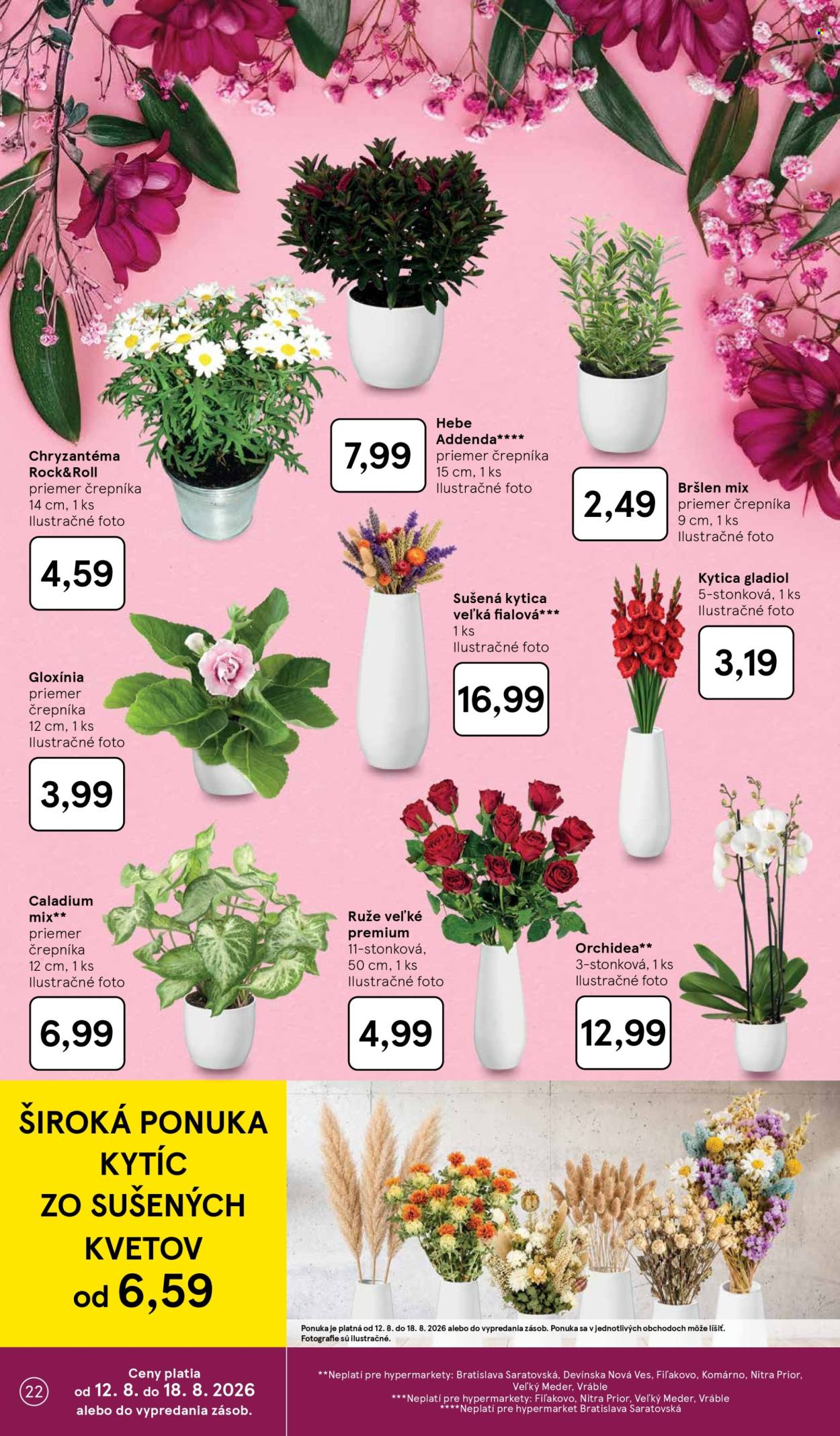 Leták TESCO - 12.8.2026 - 18.8.2026. Strana 22
