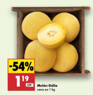 Melón Gália