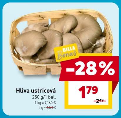 Hliva ustricová