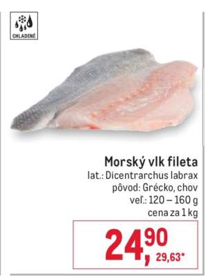 Morský vlk fileta