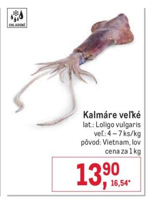 Kalmáre veľké