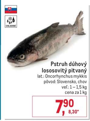 Pstruh dúhový lososovitý pitvaný